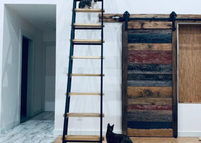 Two Cats: One on a loft ladder and one in front of a sliding door.